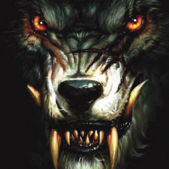 The Werewolf mudguard